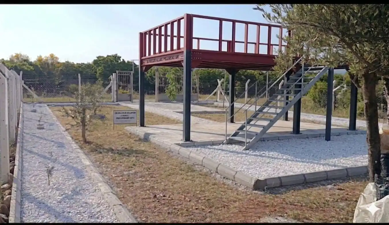 Çatı ve Sundurma